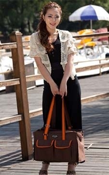 YD0393 cute pet bag, small dog carrier