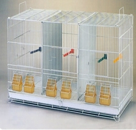 YA217-3  bird breeding house for pigeon