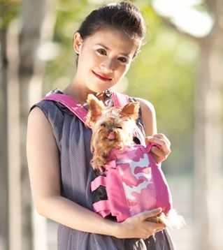 YD0386 pet backpack carrier dog front carrier bag